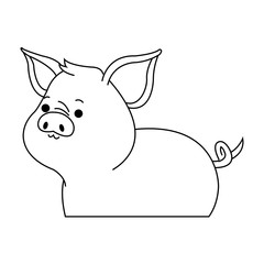 cute pig animal, cartoon icon over white background. vector illustration