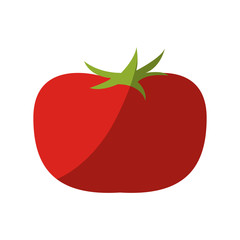 tomato vegetable icon over white background. colorful design. vector illustration