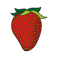 strawberry fruit icon over white background. colorful design. vector illustration