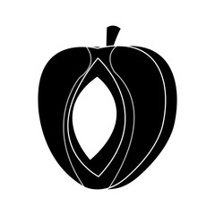 peach fruit icon over white background. vector illustration