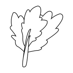 celery vegetable icon over white background. vector illustration