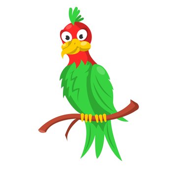 Colorful parrot sitting on branch isolated on white