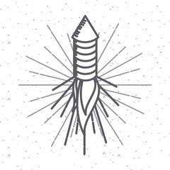 rocket firework icon over white background. usa indepence day design. vector illustration