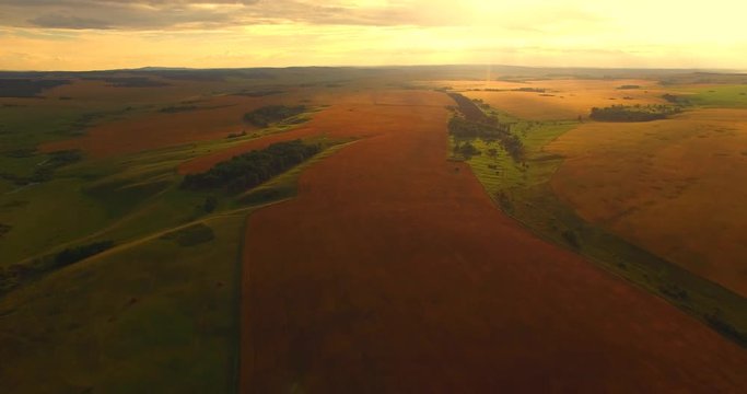 Wheat field. Aerial View. Siberia, a beautiful evening landscape.