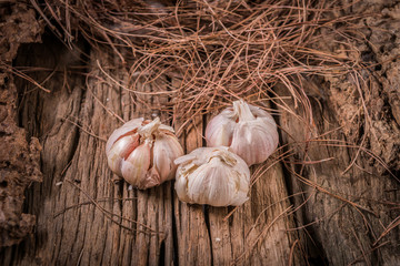 garlic on wood