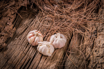 garlic on wood