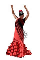 vector spanish girl dances a flamenco