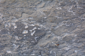 Stone natural  background texture