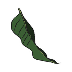 tropical leaf icon over white background. vector illustration
