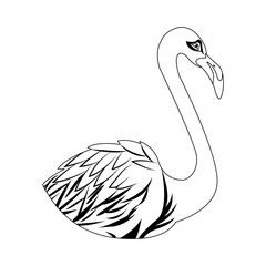 flamingo bird icon over white background. vector illustration