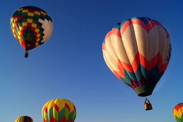 Hot Air Balloons Flying