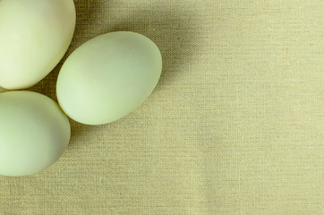 Egg of chicken on fabric,selective focus