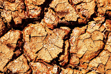 surface of the ground.