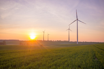 Fototapeta na wymiar Windmills (wind turbines) in a field at sunrise