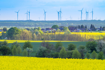 spring field in Germany, agricultural land in Brandenburg