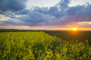 spring field in Germany, agricultural land in Brandenburg