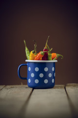 Chilly peppers in a blue pot
