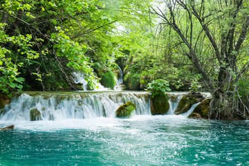 Waterfall and greenery of natural bus with turquoise water Plitvice Lakes National Park