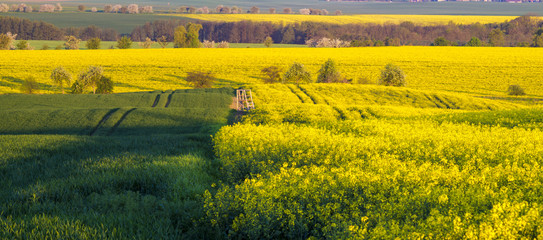 Panorama of a spring field in Germany, agricultural land in Brandenburg