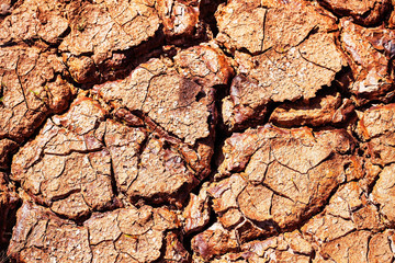 surface of dry soil in summer.
