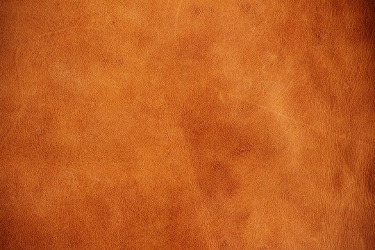 surface of leather.