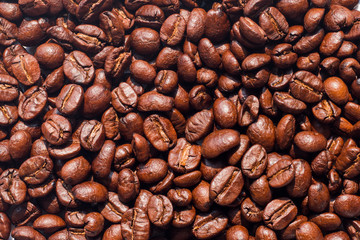 Coffee beans on white background