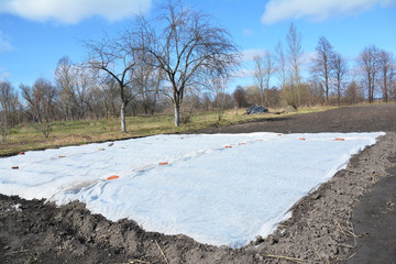 Spunbond hotbed for vegetable seedlings in the spring. White spunbond greenhouse in country garden.