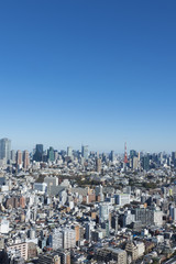 東京都市風景　東京タワーと街並全景　快晴青空