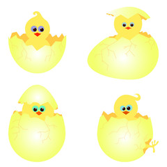 vector set of chickens in a cracked eggs