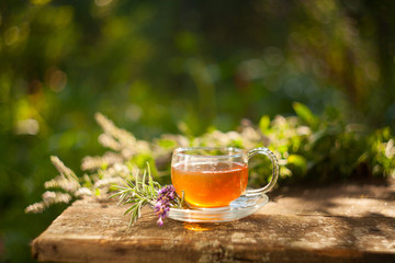 green tea in beautiful cup