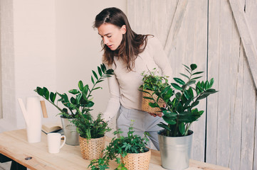 young woman watering flowerpots at home. Casual lifestyle series in modern scandinavian interior
