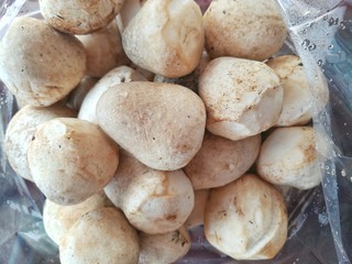 Straw mushroom