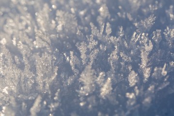 Snow crystals in big close up