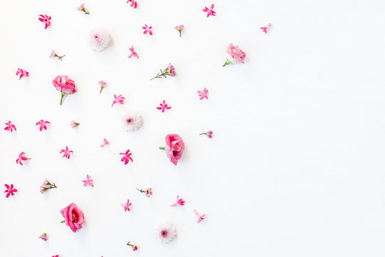 Flowers composition. Pattern made of various pink flowers on white background. Flat lay, top view