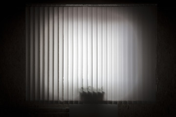 Window with white vertical blinds close-up.