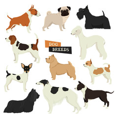 Dog collection Geometric style Vector set of different dog breeds Isolated objects Part three