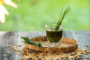Wheat grass juice