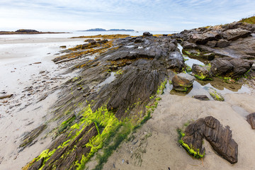 Picturesque and rocky Maine coastline on a summer day at low tide