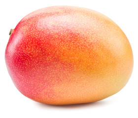 Mango fruit isolated on the white background.