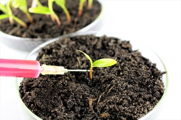 An image of organic chemistry