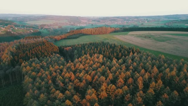 Aerial: Autumnal landscape of colorful trees in a valley in Belgian ardennes during sundown