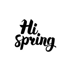 Fototapeta premium Hi Spring Handwritten Lettering