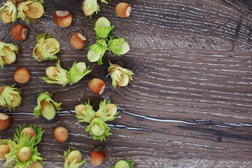the handful of hazelnuts