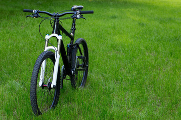 Obraz premium the mountain bike