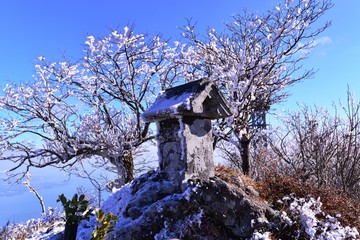 鶴見岳の霧氷めぐり