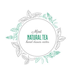 Mint leaves, mint branch, mint flower hand drawn sketch isolated on white, vector round frame, Hand drawn spicy herbs, Doodle cooking ingredient for design, Vector botanical illustration for packaging