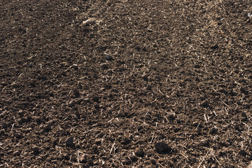 Plowed field