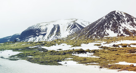 Green moss, snowy mountains, South of Iceland