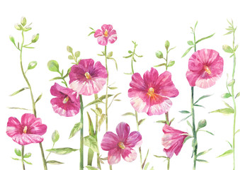 hollyhock drawing
