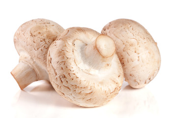 Three fresh champignons mushrooms isolated on a white background